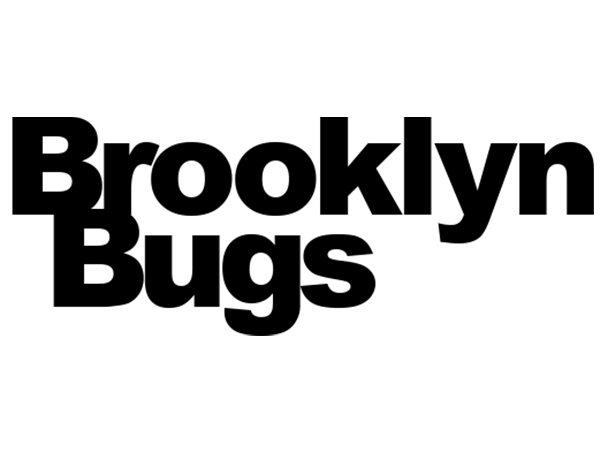 Brooklyn Bugs logo