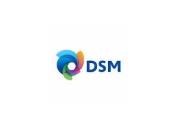 DSM