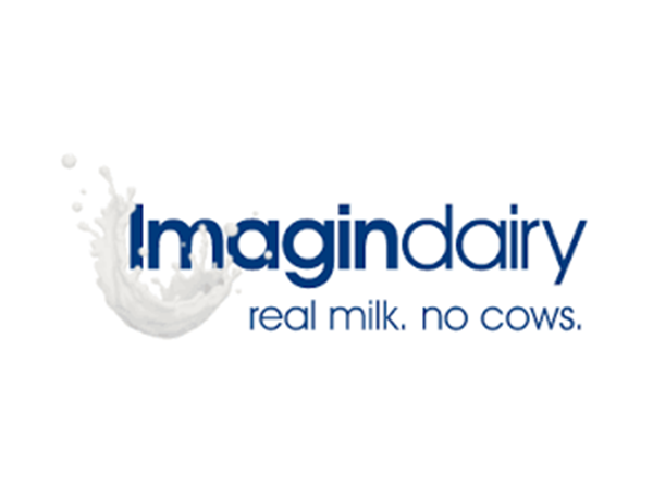 Imagindairy