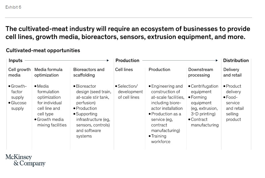 Beyond Meat, Oatly, DSM analysed plus McKinsey's weighty report maps ...